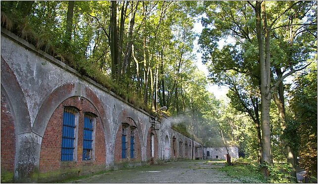 Krakow Fort 51 20070815 0938, Droga Rokadowa, Kraków 30-699 - Zdjęcia