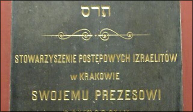 Krakow Synagoga Tempel 20071111 1148 2166, Miodowa 24, Kraków 31-055 - Zdjęcia