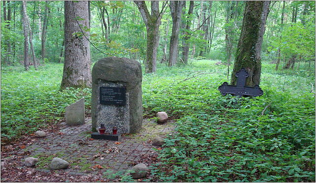 KrepaKaszubska436, Krępa Kaszubska, Krępa Kaszubska 84-351 - Zdjęcia