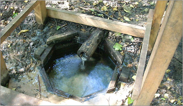 Krolewskie Zrodla 1, Leśniczówka - Zdjęcia