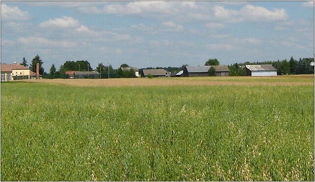Krynka pola, Zagórna, Zagórna 21-400 - Zdjęcia