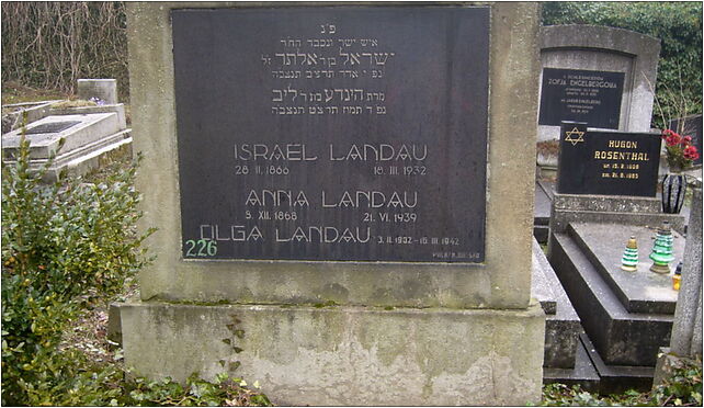 Landau family grave, Damrota Konstantego 7b, Bielsko-Biała 43-300 - Zdjęcia