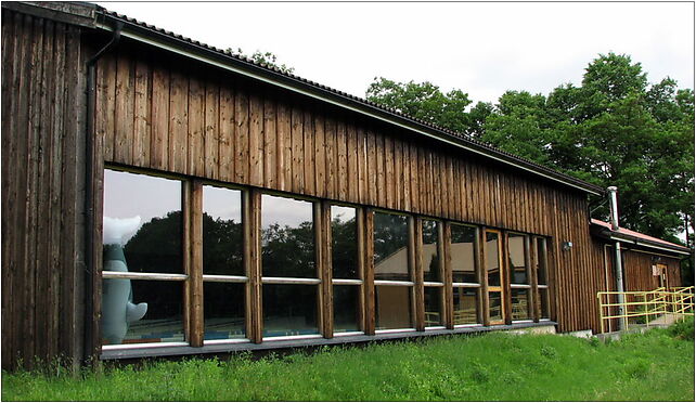 Laski swimming pool, Partyzantów, Laski 05-080 - Zdjęcia