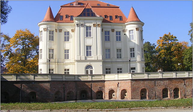 Lesnica 4, Średzka94 16, Wrocław 54-017 - Zdjęcia