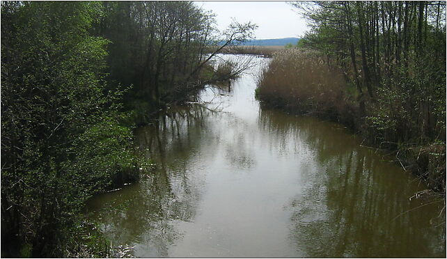 Lewińska Struga, Lewno, Lewno 72-510 - Zdjęcia