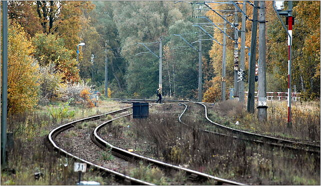 Linia kolejowa nr 401 Warszów, Ludzi Morza 4, Świnoujście 72-602 - Zdjęcia