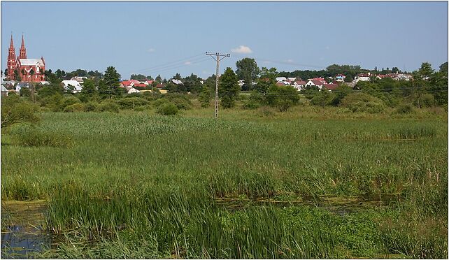 Lipsk nad Biebrzą 17.07.2009 p, Batorego, Kolonie Lipsk 16-315 - Zdjęcia