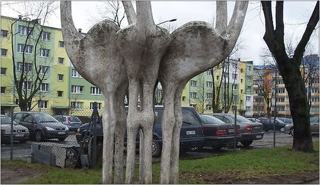 LodzRetkiniaBociany, Kusocińskiego Janusza, Łódź 94-004, 94-054 - Zdjęcia