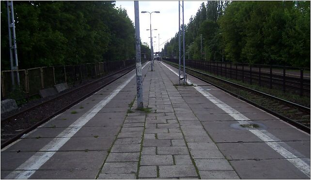 Lodz Niciarniana 1, Smolarka Włodzimierza, Łódź 92-231 - Zdjęcia