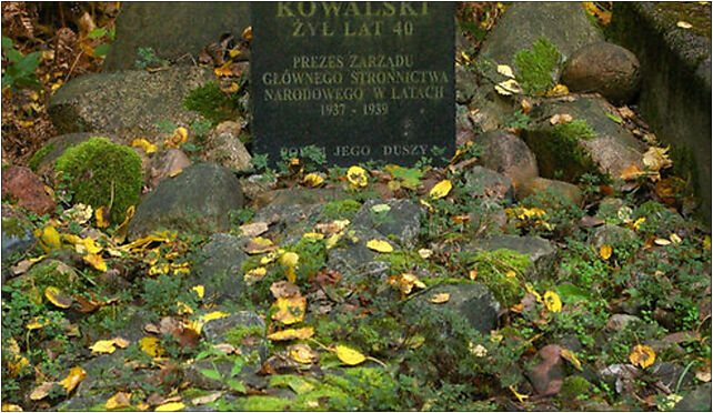 Lucmierz-Las, Kazimierz Kowalski grave 01, Osiedlowa 95-100 - Zdjęcia