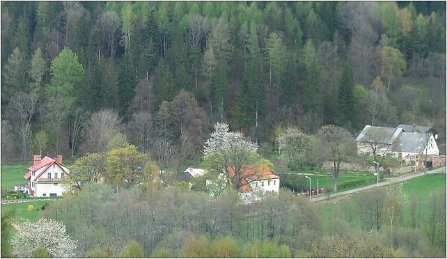 Młynowiec, domy 1, Młynowiec, Młynowiec 57-550 - Zdjęcia