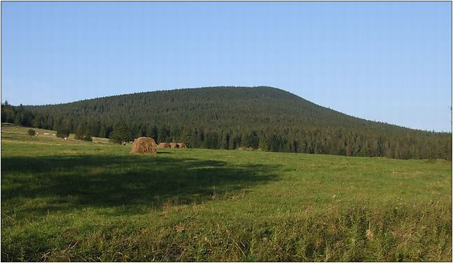 Magura Witowska a1, Witów - Zdjęcia