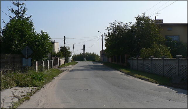 Michalowice-Wies, droga, Kasztanowa, Michałowice-Wieś 05-816 - Zdjęcia