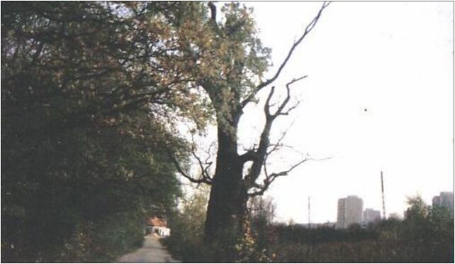 Mieszdab, Nowoursynowska, Warszawa od 02-776 do 02-797 - Zdjęcia