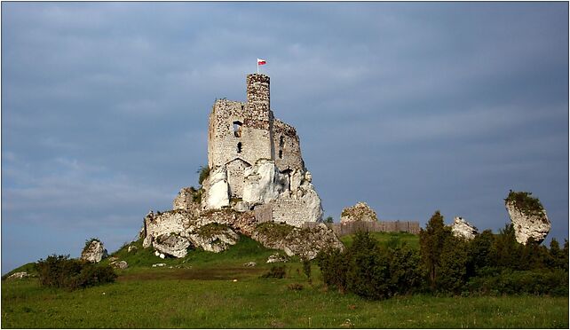 Mirów zamek 29.05.2010 p, Mirów, Mirów 42-320 - Zdjęcia