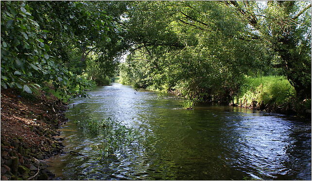 Mlynowka downriver 2009-07, Pusta, Trzebiatów 72-320 - Zdjęcia