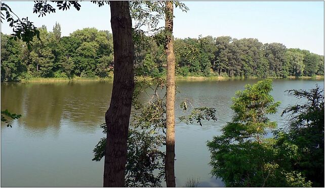 Mogilno, jezioro Mogilenskie, Benedyktyńska254, Mogilno 88-300 - Zdjęcia