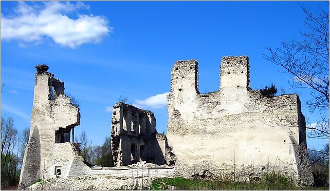 MokrskoG castle 20070421 1144, Mokrsko Górne, Mokrsko Górne 28-305 - Zdjęcia