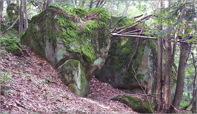 Mountain Spalona in Beskid Niski02, Przybyszów, Przybyszów 38-505 - Zdjęcia