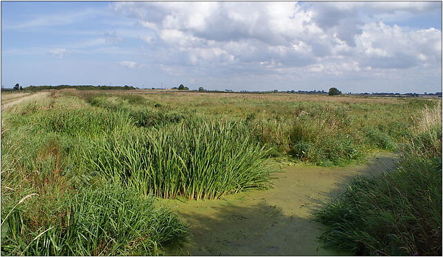 Mrzezyno II Canal separation 2009-09, Włodarka, Włodarka 72-320 - Zdjęcia