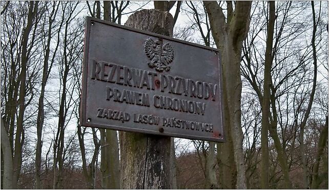 Nad Jeziorem Trześniowskim tabliczka, Bolesława Chrobrego, Łagów 66-220 - Zdjęcia