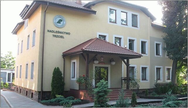 Nadlesnictwotrzciel, Klonowa 15, Trzciel 66-320 - Zdjęcia