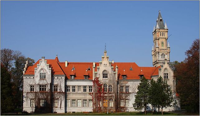 Nakło Śląskie - Pałac 01, Parkowa 1, Nakło Śląskie 42-620 - Zdjęcia