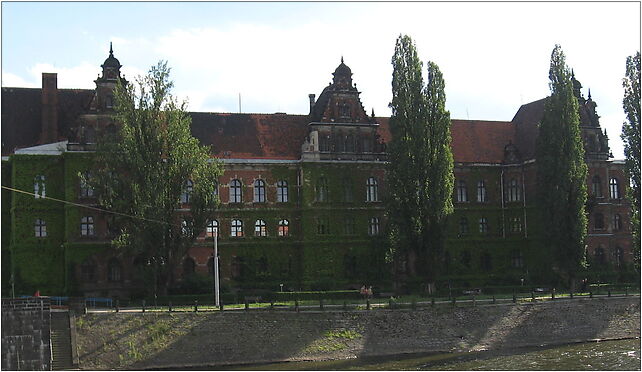 National Museum in Wrocław 2, Joliot-Curie Fryderyka, Wrocław 50-383 - Zdjęcia