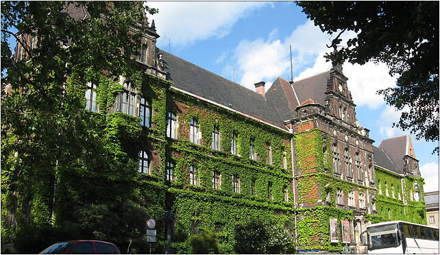 National Museum in Wrocław, Joliot-Curie Fryderyka, Wrocław 50-383 - Zdjęcia