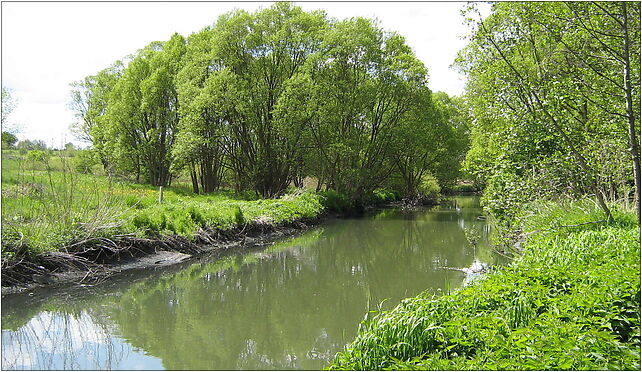Ner na Lublinku w Łodzi, Chropy, Chropy 99-200 - Zdjęcia