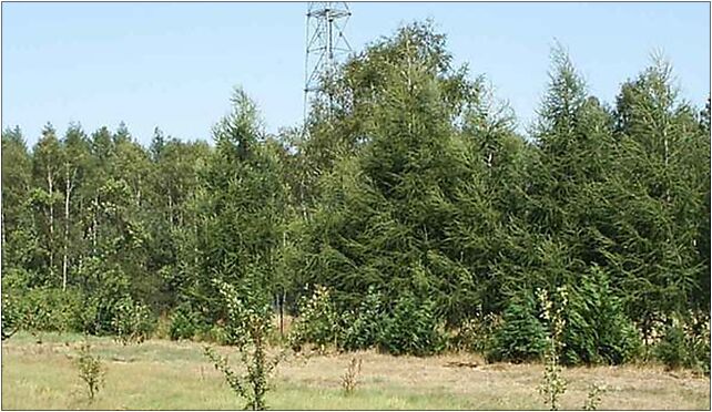 Nizankowice, Niżankowice, Niżankowice 98-355 - Zdjęcia