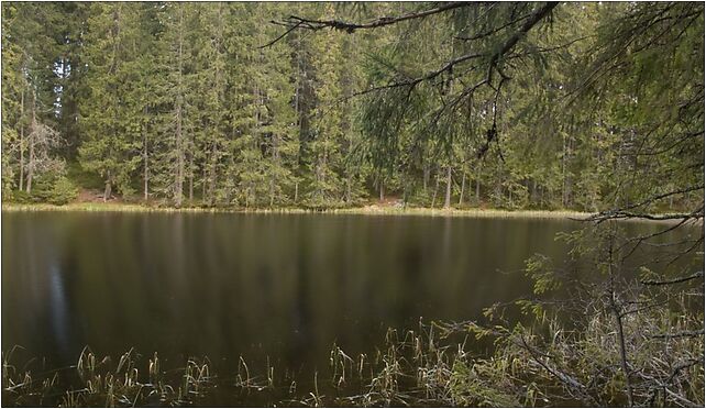 Nizni Toporowy Staw, Brzeziny, Zakopane 34-500 - Zdjęcia