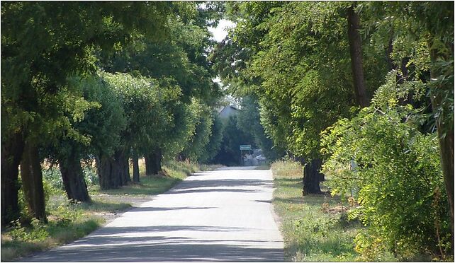 Nochówko3, Nochówko, Nochówko 63-100 - Zdjęcia