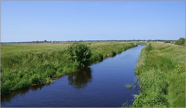 Nowa Blotnica from Karcino bridge NW 2009-06, Karcino, Karcino 78-133 - Zdjęcia