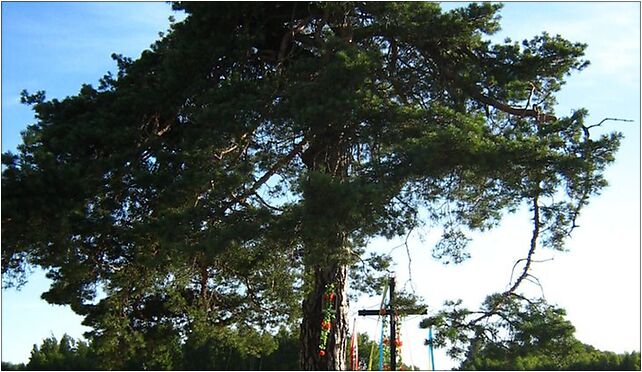 Nowe Kozłowo krzyż, Nowe Kozłowo, Nowe Kozłowo 07-206 - Zdjęcia