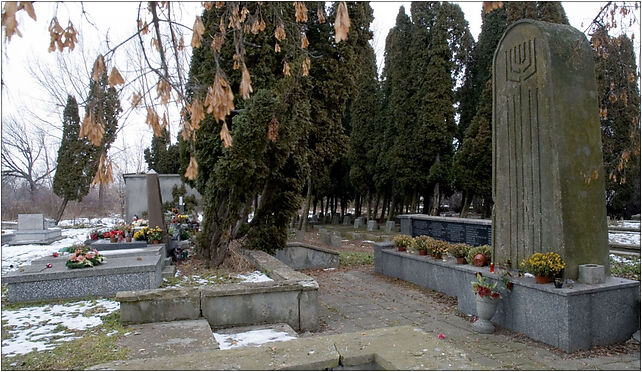 Nowy cmentarz żydowski Lublin 05, Walecznych, Lublin 20-127, 20-136 - Zdjęcia