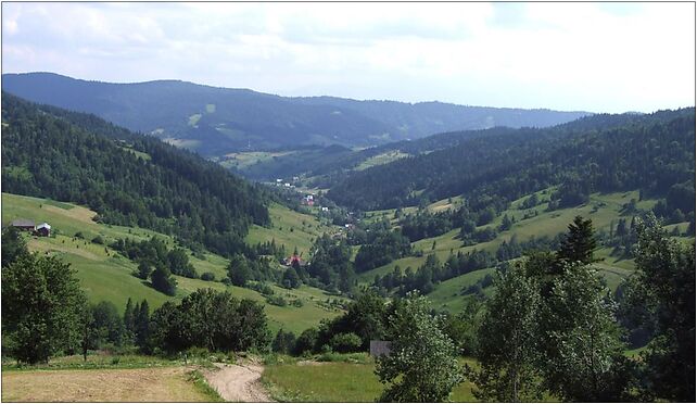 Ochotnica Dolna. Potok Gorcowy G23, Hologówka, os., Dłubacze 34-452 - Zdjęcia