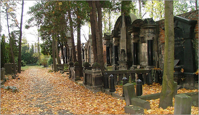 Old Jewish Cemetery of Wroclaw (Poland) - German Grave35, Sztabowa od 53-310 do 53-321 - Zdjęcia