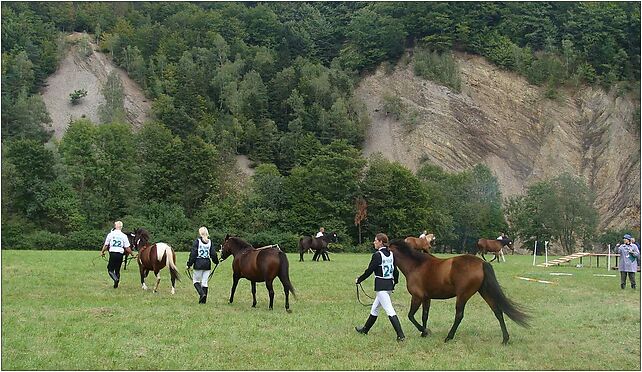 Olza hucuły 2008, Pastwiska - Zdjęcia