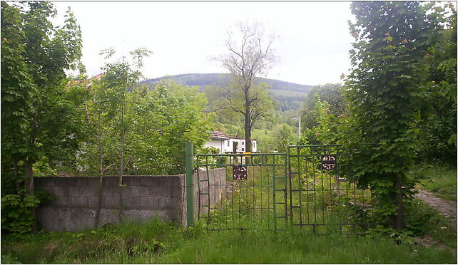 Orłowice 18, Orłowice, Orłowice 59-630 - Zdjęcia