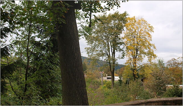 Orthodox church of Saint Michael the Archangel (4), Wysowa-Zdrój 38-316 - Zdjęcia