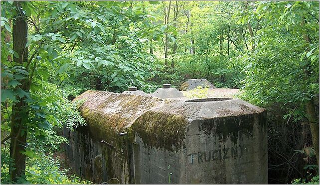Otłoczyn bunkier, Szlak Bursztynowy 27, Otłoczyn 87-700 - Zdjęcia