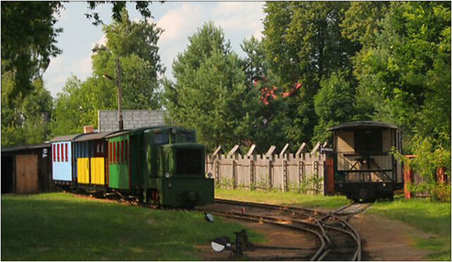 Płociczno-Tartak - Narrow gauge railway 02, Płociczno-Tartak 16-413 - Zdjęcia