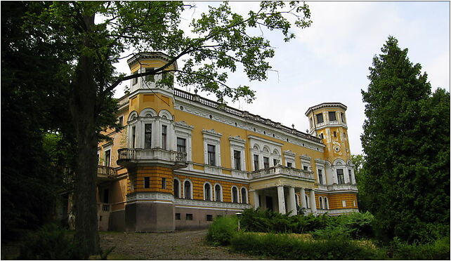 Pałac Niechcice1, Zakładowa, Niechcice 97-340 - Zdjęcia