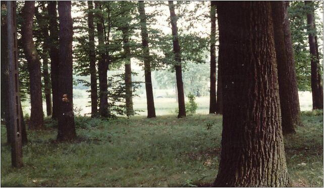 Park DWORSKI w Babsku88, Babsk - Zdjęcia