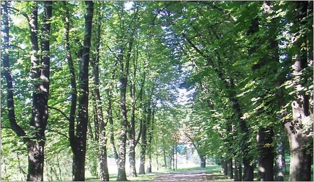 Park Mickiewicza Wieliczka, Grottgera Artura, Wieliczka 32-020 - Zdjęcia