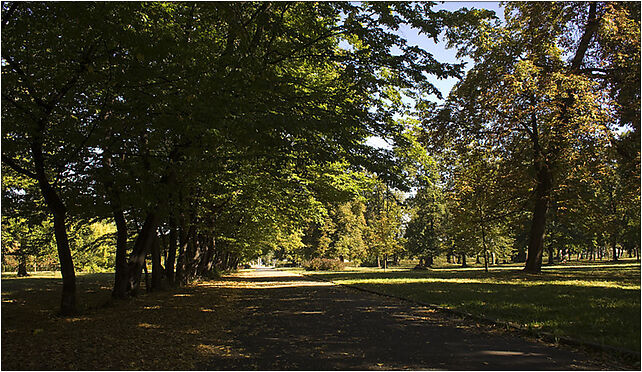 Park Skowroni, Ślężna, Wrocław 50-538 - Zdjęcia