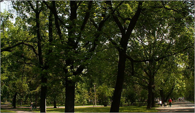 Park Szwedzki Kraków Nowa Huta, Szklane Domy, os., Kraków od 31-752 do 31-974 - Zdjęcia