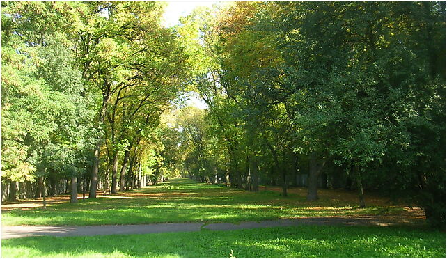 Park na Zdrowiu, Wileńska, Łódź od 94-032 do 94-112 - Zdjęcia