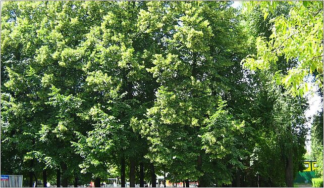 Parksklodowskiejcurie, Wawelska, Warszawa 02-096 - Zdjęcia